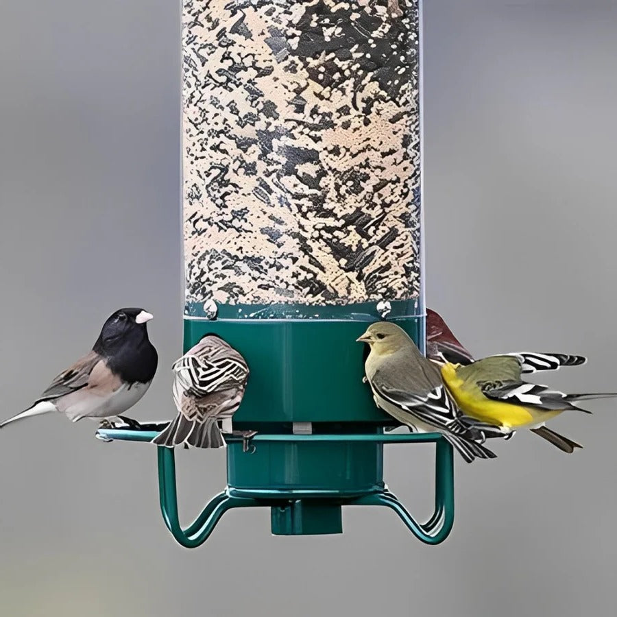 Squirrel-Proof Bird Feeder with Weight-Activated Rotating Perch and Clear Tube