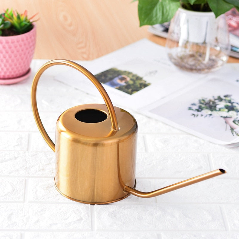 Arrosoir en Acier Inoxydable Doré avec Long Bec Fin pour Plantes d'Intérieur et Décoration Élégante