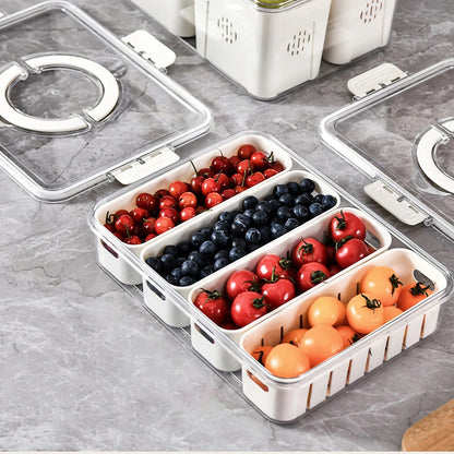Terra – Set de Contenants et Paniers de Rangement pour Réfrigérateur