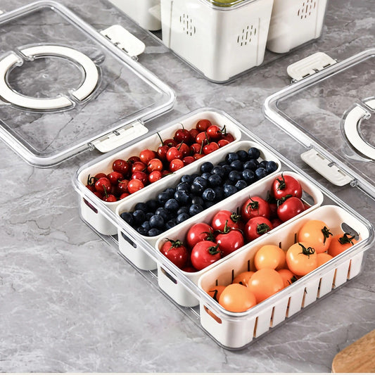 Terra – Set de Contenants et Paniers de Rangement pour Réfrigérateur