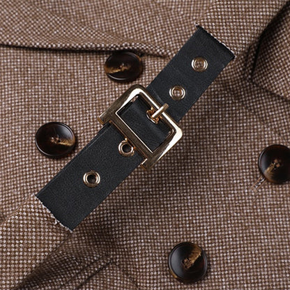 Blazer élégant avec ceinture pour femmes - Aurelles