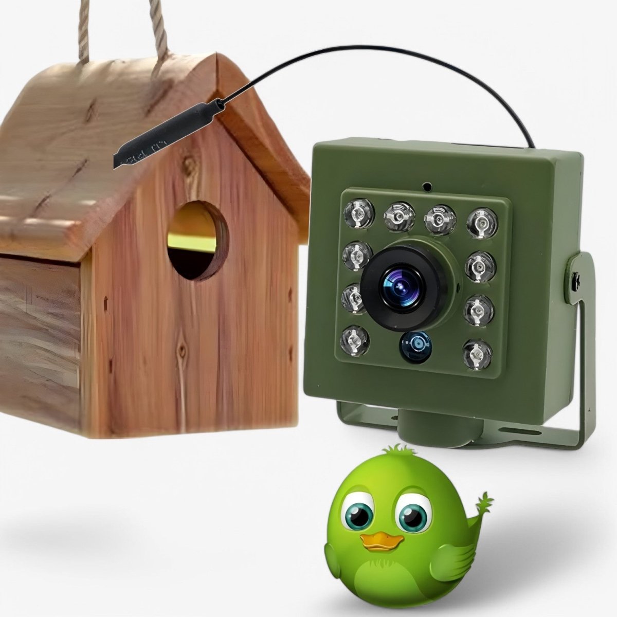 Full HD 1080p Nature Observation Camera with Night Vision, Motion Detection, and Remote Smartphone Access