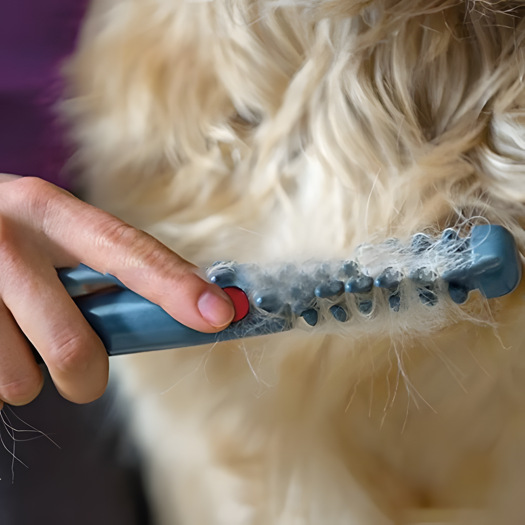 FurEase – Brosse Anti-Nœuds Douce Pour Chats Et Chiens