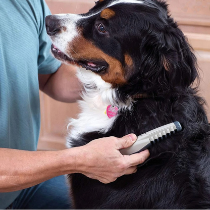 FurEase – Brosse Anti-Nœuds Douce Pour Chats Et Chiens
