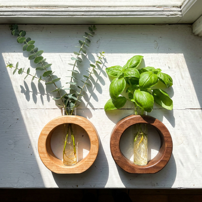 Vase de Propagation Hydroponique en Bois et Verre pour Boutures de Plantes Style Minimaliste