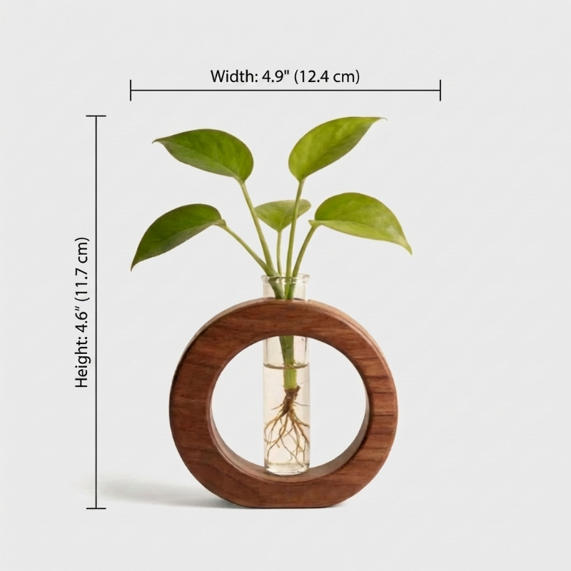 Vase de Propagation Hydroponique en Bois et Verre pour Boutures de Plantes Style Minimaliste