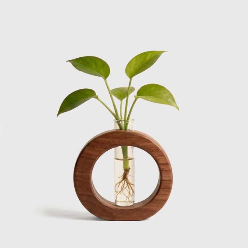 Vase de Propagation Hydroponique en Bois et Verre pour Boutures de Plantes Style Minimaliste