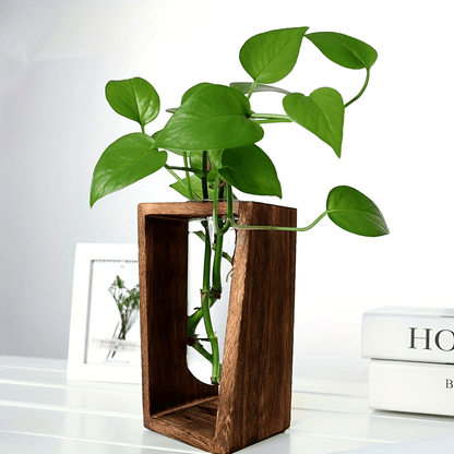 Vase de Propagation en Bois Massif Noyer avec Tube en Verre Suspendu pour Boutures de Plantes et Décoration