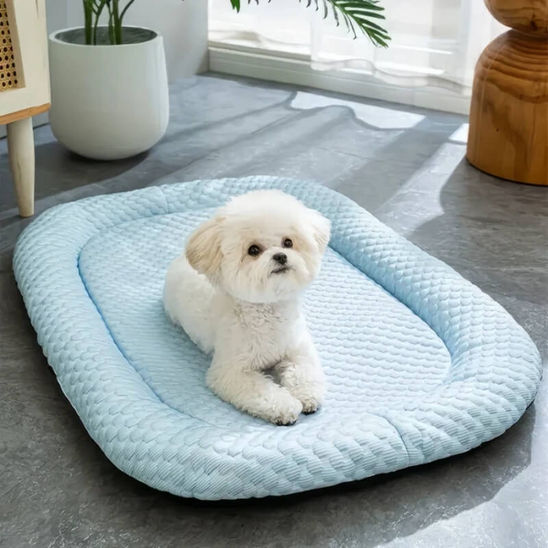 CoolPaws – Lit Rafraîchissant pour Chien Ultra Confortable