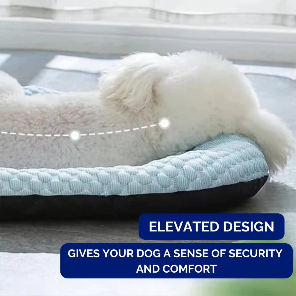 CoolPaws – Lit Rafraîchissant pour Chien Ultra Confortable