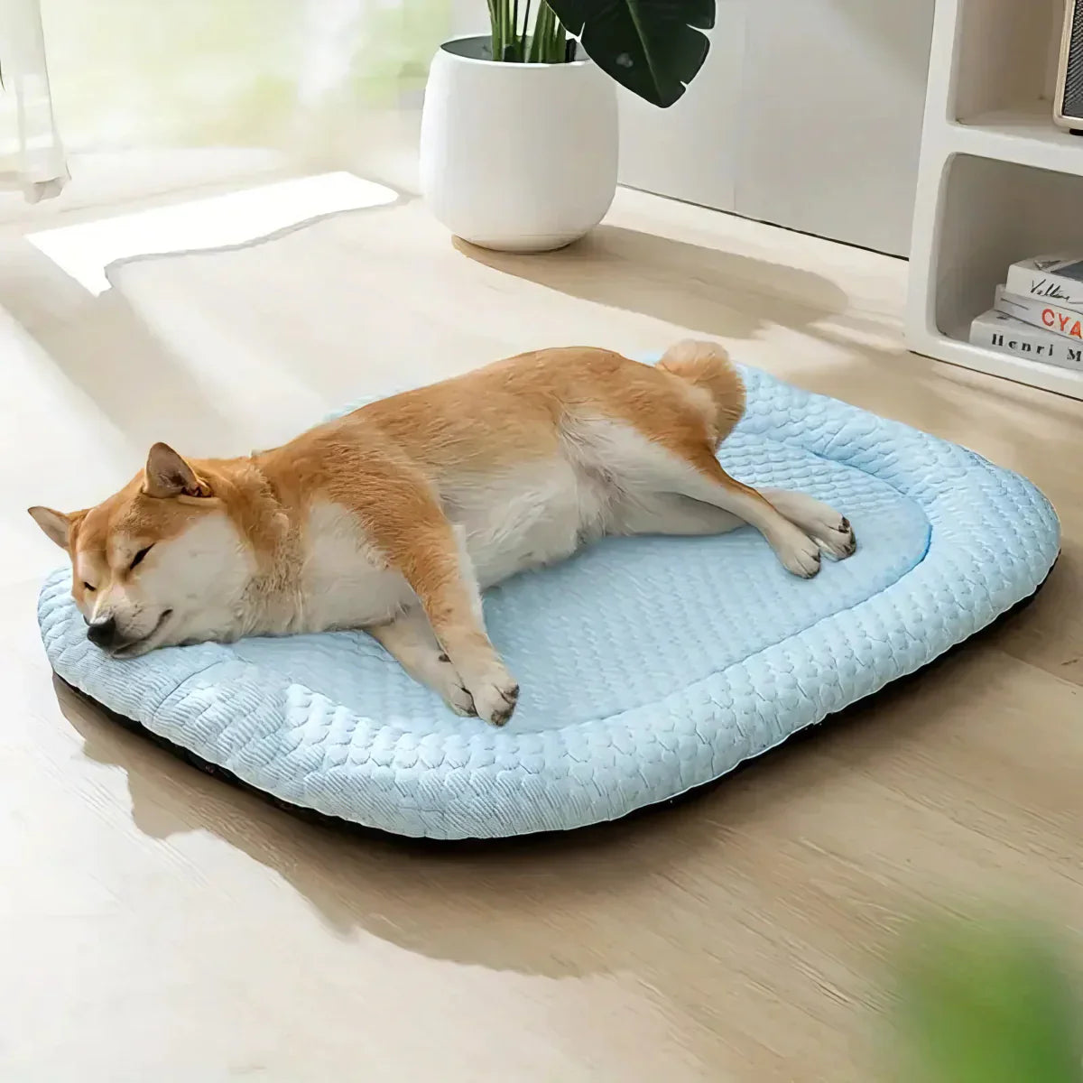 CoolPaws – Lit Rafraîchissant pour Chien Ultra Confortable