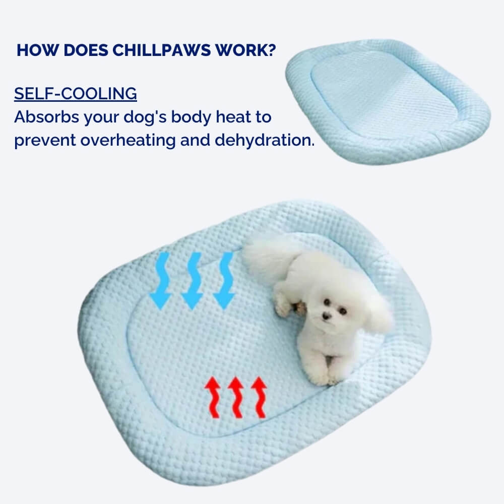 CoolPaws – Lit Rafraîchissant pour Chien Ultra Confortable