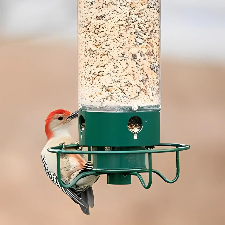 Squirrel-Proof Bird Feeder with Weight-Activated Rotating Perch and Clear Tube