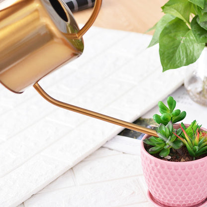 Arrosoir en Acier Inoxydable Doré avec Long Bec Fin pour Plantes d'Intérieur et Décoration Élégante