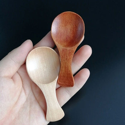 Set of 4 Small Wooden Spoons for Spice Jars, Salt, Sugar and Natural Kitchen Condiments