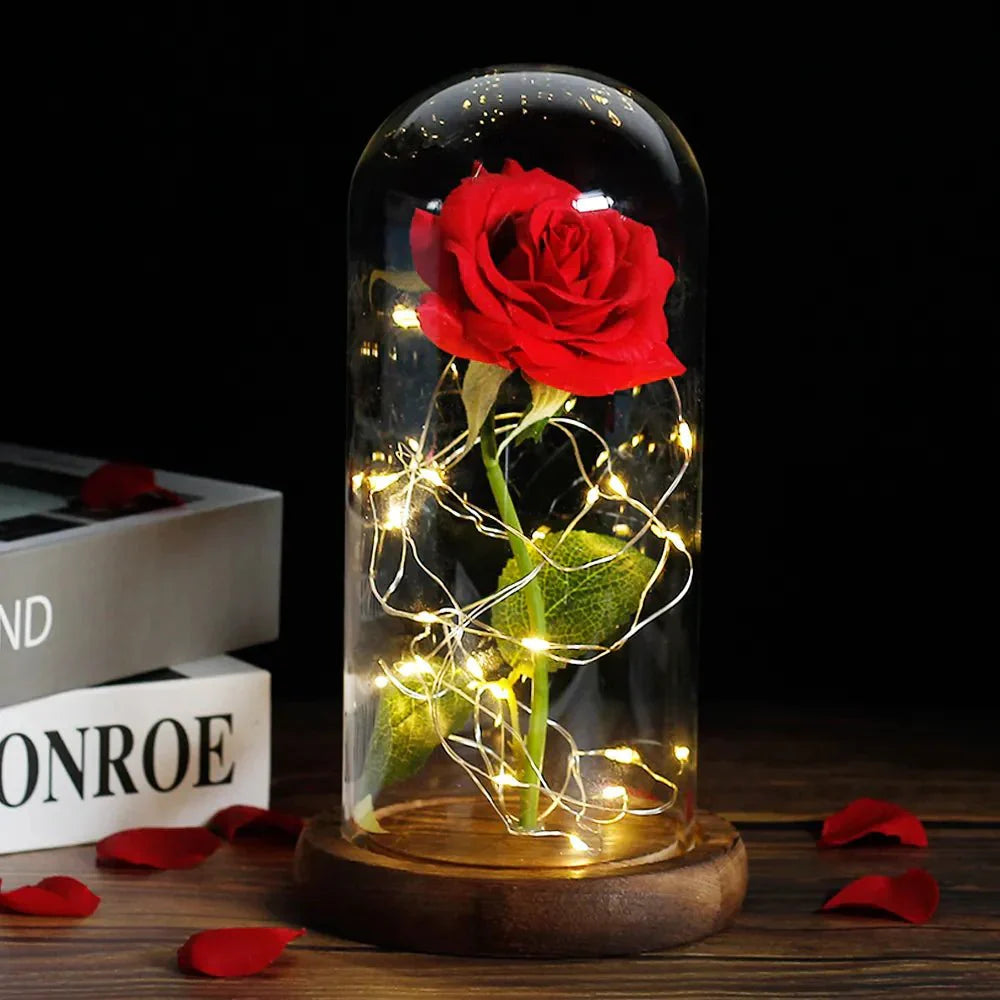 Solène – Rose Préservée sous Cloche en Verre avec LED