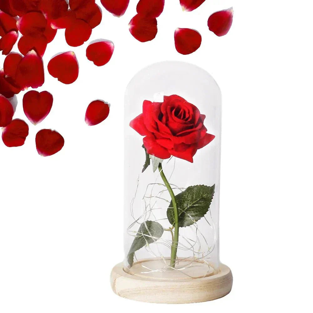 Solène – Rose Préservée sous Cloche en Verre avec LED
