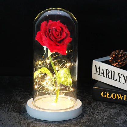 Solène – Rose Préservée sous Cloche en Verre avec LED