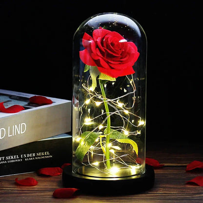 Solène – Rose Préservée sous Cloche en Verre avec LED