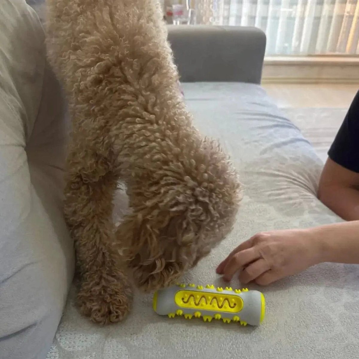 ZenPaw – Jouet Anti-Stress Pour Chiens